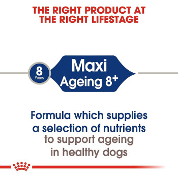 Royal Canin Size Health Nutrition Mai Ageing 8 15 Kg