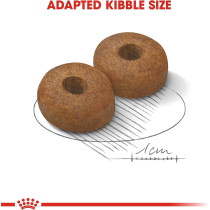 Royal Canin Size Health Nutrition Mai Ageing 8 15 Kg