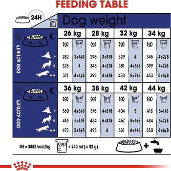 Royal Canin Size Health Nutrition Mai Ageing 8 15 Kg