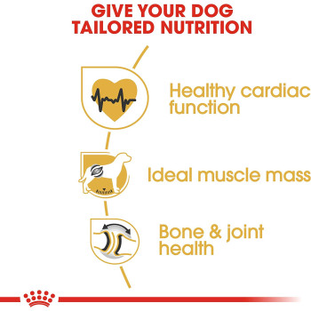 Royal Canin Breed Health Nutrition Rottweiller Puppy 12 Kg