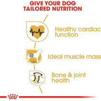 Royal Canin Breed Health Nutrition Rottweiller Puppy 12 Kg