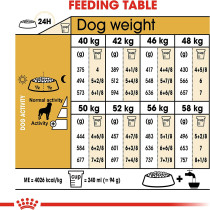 Royal Canin Breed Health Nutrition Rottweiller Puppy 12 Kg