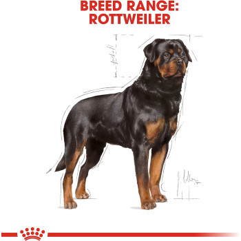 Royal Canin Breed Health Nutrition Rottweiller Puppy 12 Kg