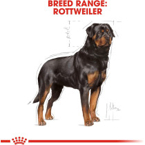 Royal Canin Breed Health Nutrition Rottweiller Puppy 12 Kg