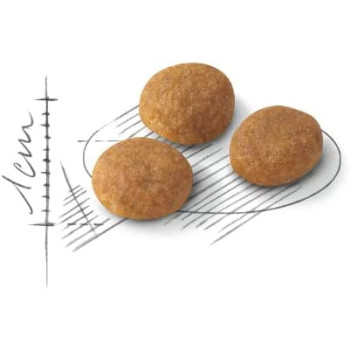 Royal Canin Feline Health Nutrition Aroma Eigent 2 Kg