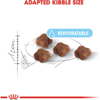  Royal Canin Feline Health Nutrition Mother And Baby Cat Food 2 Kg