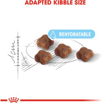  Royal Canin Feline Health Nutrition Mother And Baby Cat Food 2 Kg