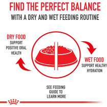 Royal Canin Feline Health Nutrition Mother & Babycat Mousse Wet FoodCans