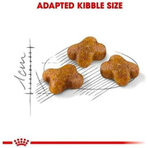 Royal Canin Feline Health Nutrition Kitten Food 400 G, Cat Foods 