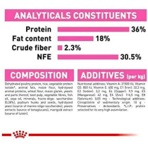Royal Canin Feline Health Nutrition Kitten Food 400 G, Cat Foods 