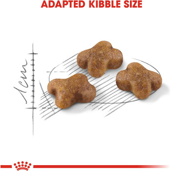 Royal Canin Feline Health Nutrition Kitten Foods 2 Kg, Dry Cat Food For Up To 12 Months