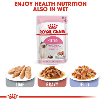 Royal Canin Feline Health Nutrition Kitten Foods 2 Kg, Dry Cat Food For Up To 12 Months