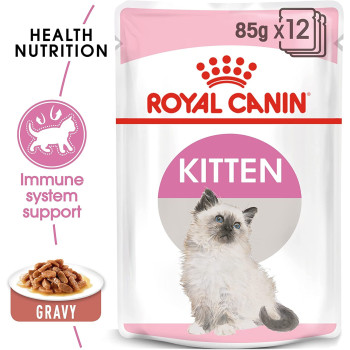 Royal Canin Feline Health Nutrition Kitten/Cat Gravy Wet Food Pouches  | Cat Wet Foods 