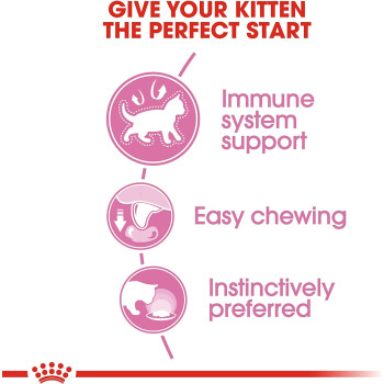 Royal Canin Feline Health Nutrition Kitten/Cat Gravy Wet Food Pouches  | Cat Wet Foods 