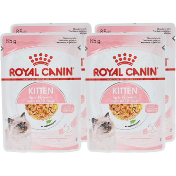Royal Canin Feline Health Nutrition Kitten / Cat Jelly Wet Food Pouches 12x85G | Cat Foods