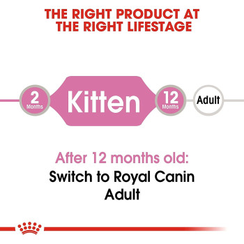 Royal Canin Feline Health Nutrition Kitten / Cat Jelly Wet Food Pouches 12x85G | Cat Foods