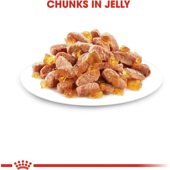 Royal Canin Feline Health Nutrition Kitten / Cat Jelly Wet Food Pouches 12x85G | Cat Foods