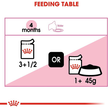 Royal Canin Feline Health Nutrition Kitten / Cat Jelly Wet Food Pouches 12x85G | Cat Foods