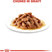 Royal Canin Feline Health Nutrition Kitten Sterilised Gravy Wet Food Pouches, 12X 85Gm