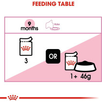 Royal Canin Feline Health Nutrition Kitten Sterilised Gravy Wet Food Pouches, 12X 85Gm