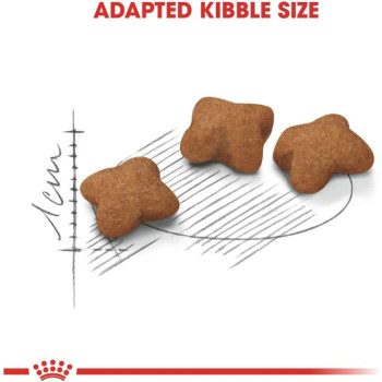 Royal Canin Feline Health Nutrition Kitten Sterilised Cat Food 2 Kg | Cat Dry Foods