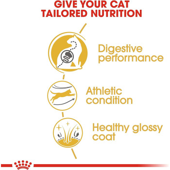 Royal Canin Feline Breed Nutrition Bengal Adult 2 Kg