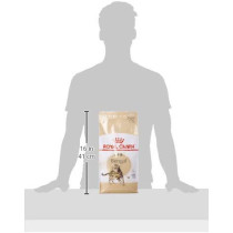 Royal Canin Feline Breed Nutrition Bengal Adult 2 Kg