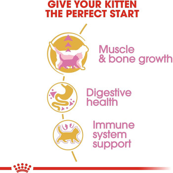 Royal Canin Feline Breed Nutrition British Shorthair Kitten 2 Kg