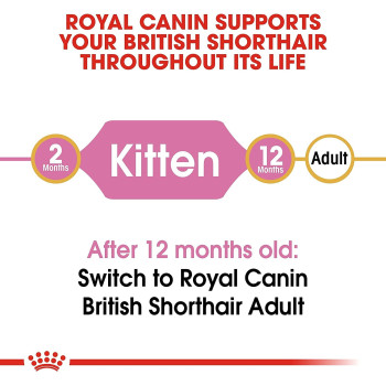 Royal Canin Feline Breed Nutrition British Shorthair Kitten 2 Kg
