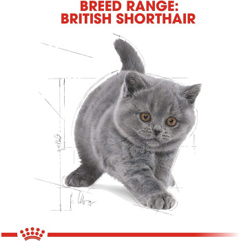 Royal Canin Feline Breed Nutrition British Shorthair Kitten 2 Kg