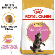 Royal Canin Feline Breed Nutrition Maine Coon Kitten 2 Kg