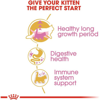 Royal Canin Feline Breed Nutrition Maine Coon Kitten 2 Kg