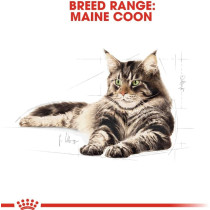 Royal Canin Feline Breed Nutrition Maine Coon Adult Cat Food 2 Kg