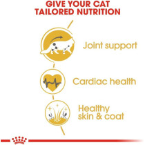 Royal Canin Feline Breed Nutrition Maine Coon Adult Cat Food 2 Kg