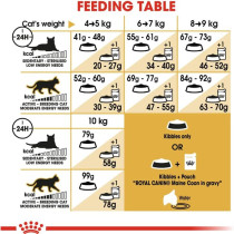 Royal Canin Feline Breed Nutrition Maine Coon Adult Cat Food 2 Kg