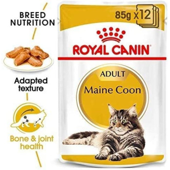Royal Canin Feline Breed Nutrition Maine Coon Wet FoodPouches