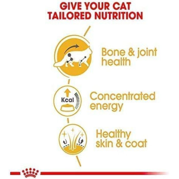 Royal Canin Feline Breed Nutrition Maine Coon Wet FoodPouches