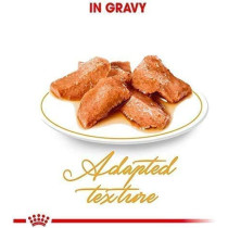 Royal Canin Feline Breed Nutrition Maine Coon Wet FoodPouches
