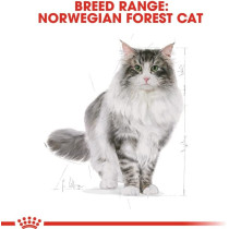 Royal Canin Feline Breed Nutrition Norwegian Forest Cat Adult 2 Kg