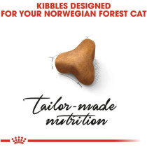 Royal Canin Feline Breed Nutrition Norwegian Forest Cat Adult 2 Kg