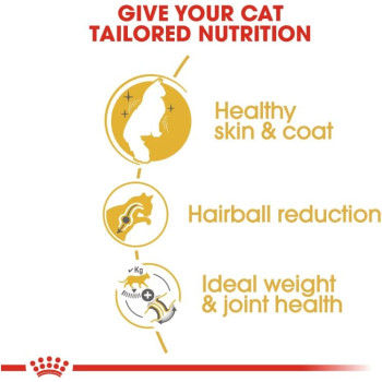 Royal Canin Feline Breed Nutrition Norwegian Forest Cat Adult 2 Kg