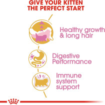 Royal Canin Feline Breed Nutrition Persian Kitten Cat Dry Food 2 Kg