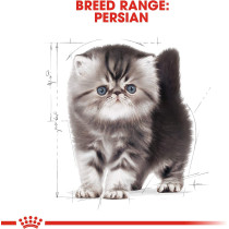 Royal Canin Feline Breed Nutrition Persian Kitten Cat Dry Food 2 Kg