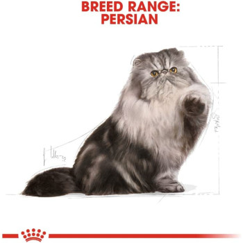 Royal Canin Feline Breed Nutrition Persian Adult 2 Kg