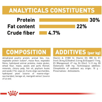 Royal Canin Feline Breed Nutrition Persian Adult 2 Kg