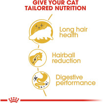 Royal Canin Feline Breed Nutrition Persian Adult Cat Dry Food 4 KG | Cat Food Supplies