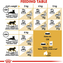 Royal Canin Feline Breed Nutrition Persian Adult Cat Dry Food 4 KG | Cat Food Supplies