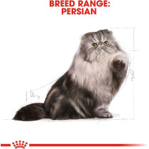 Royal Canin Feline Breed Nutrition Persian Adult Cat Dry Food 4 KG | Cat Food Supplies