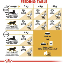 Royal Canin Feline Breed Nutrition Persian Adult Cat Dry Food 10 KG | Cat Food Supplies
