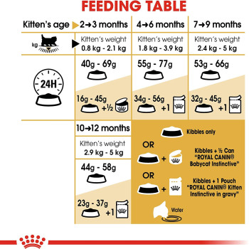Royal Canin Feline Breed Nutrition Persian Kitten 400 G